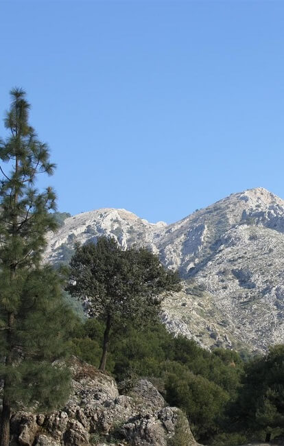 Betoverend Andalusië   - Allerlei activiteiten in de omgeving (wandelen, hiken, fietsen, ...) 